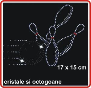 aplicatie termoadeziva sport